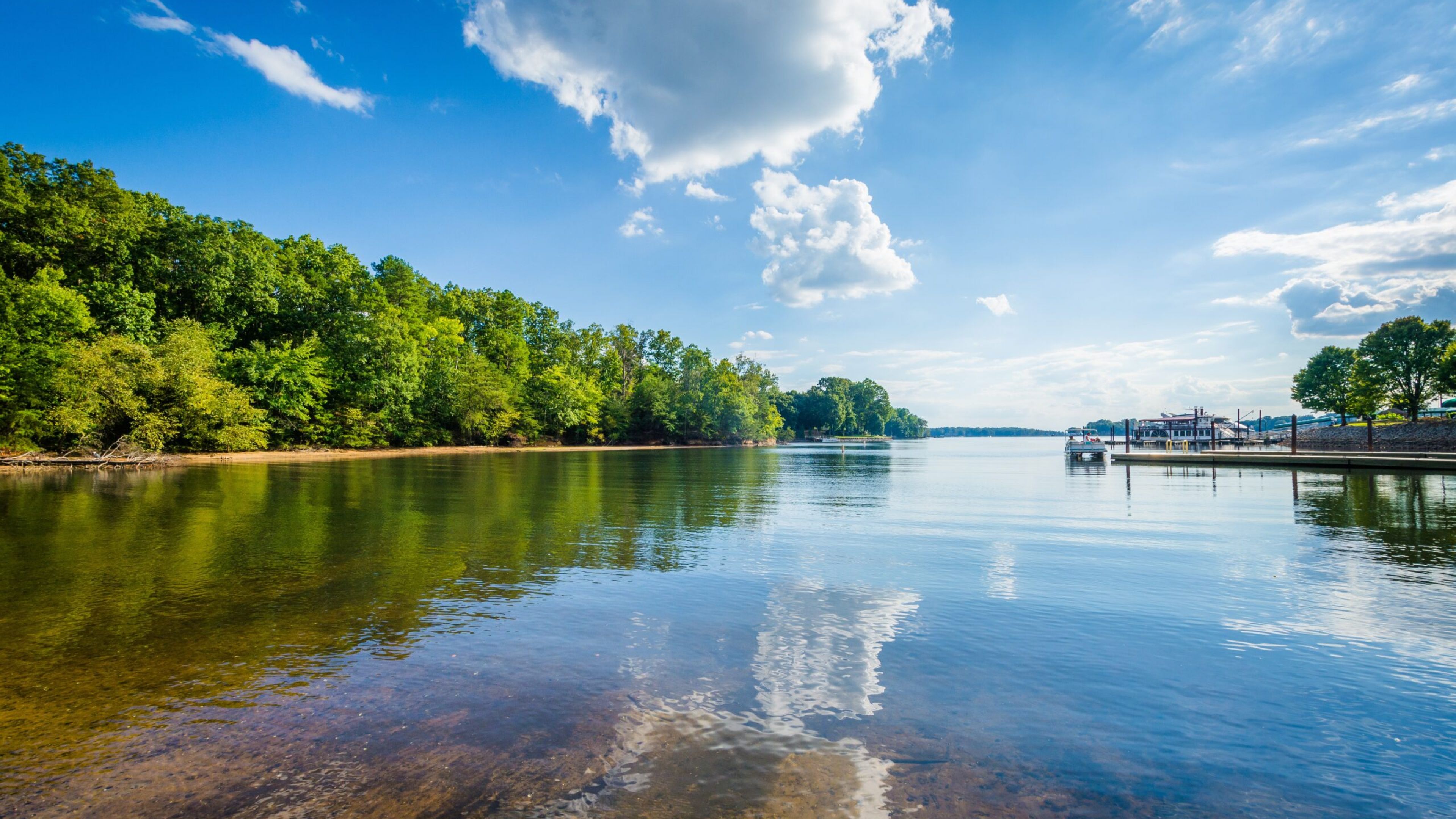 Hawthorne at Whitehall beautiful woman buying kale at a farmers market